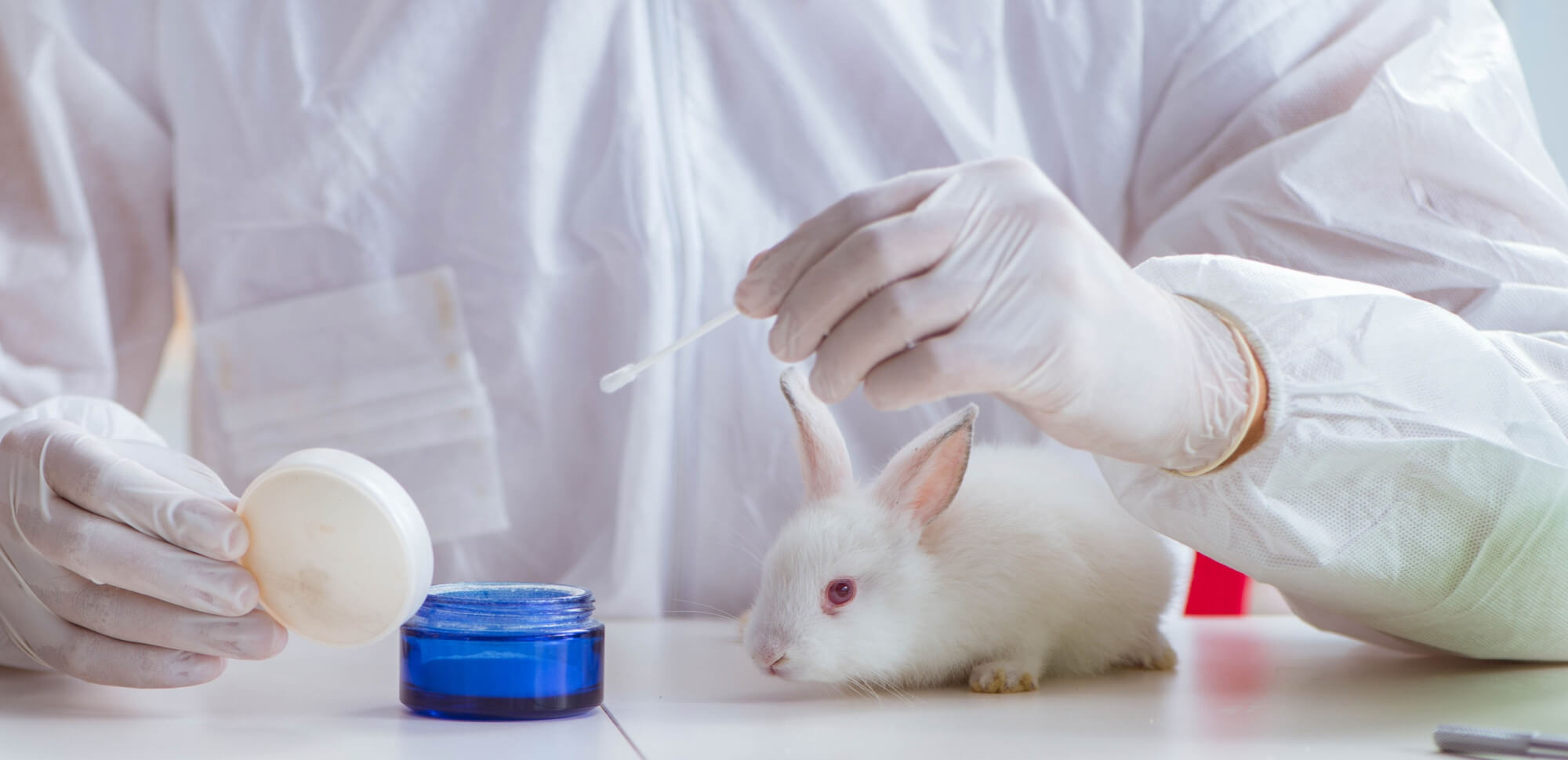 vegan and cruelty free cosmetics vegan and cruelty free cosmetics
